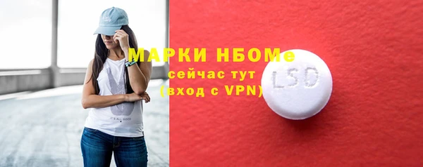 хмурый Арсеньев