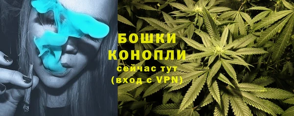 ECSTASY Аркадак