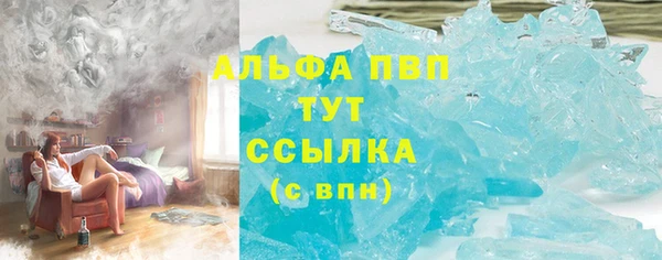 хмурый Арсеньев