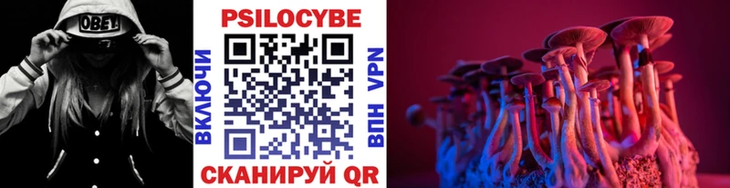 Псилоцибиновые грибы Psilocybine cubensis  Фокино 
