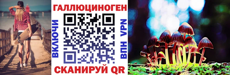 Псилоцибиновые грибы Psilocybine cubensis Фокино